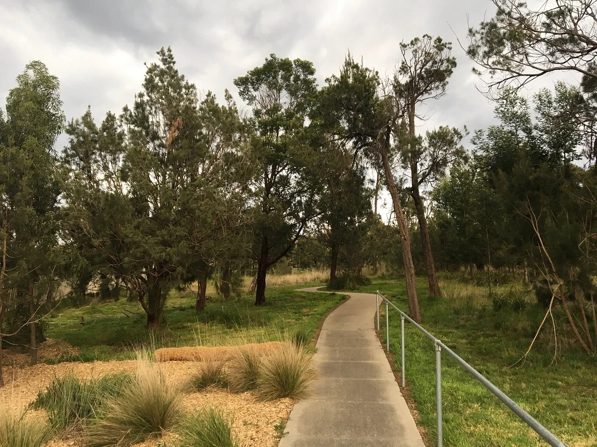 Casuarina Forest Reserve