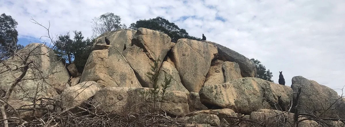 Mount Rothwell Conservation and Research Centre