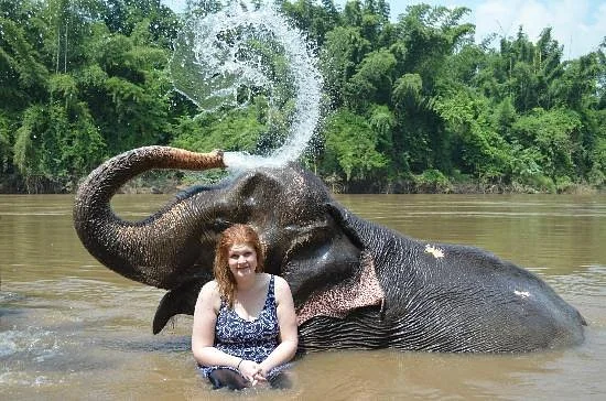 Wangpo Elephant Camp