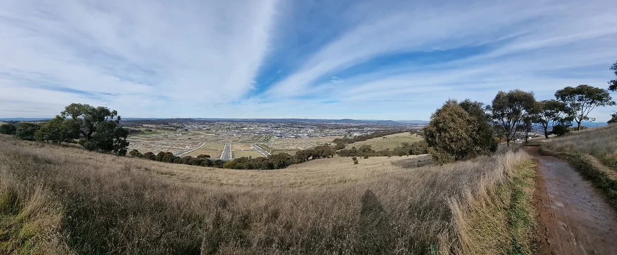 One Tree Hill Lookout Walk (Centenary Trail)