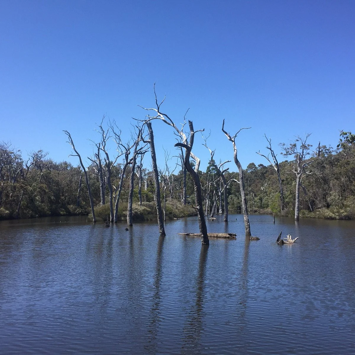 Margaret River Rotary Park