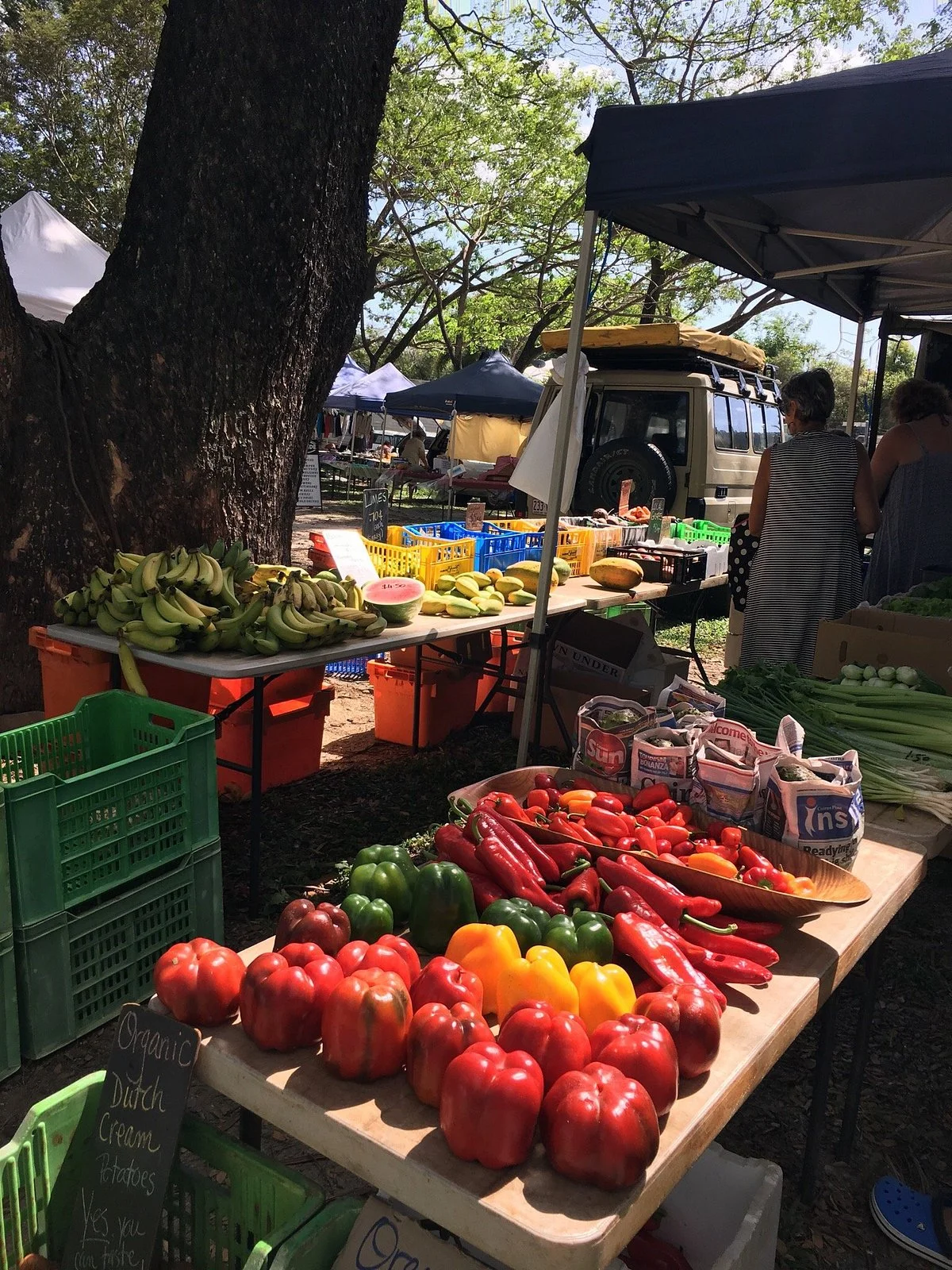 Mossman Saturday Market