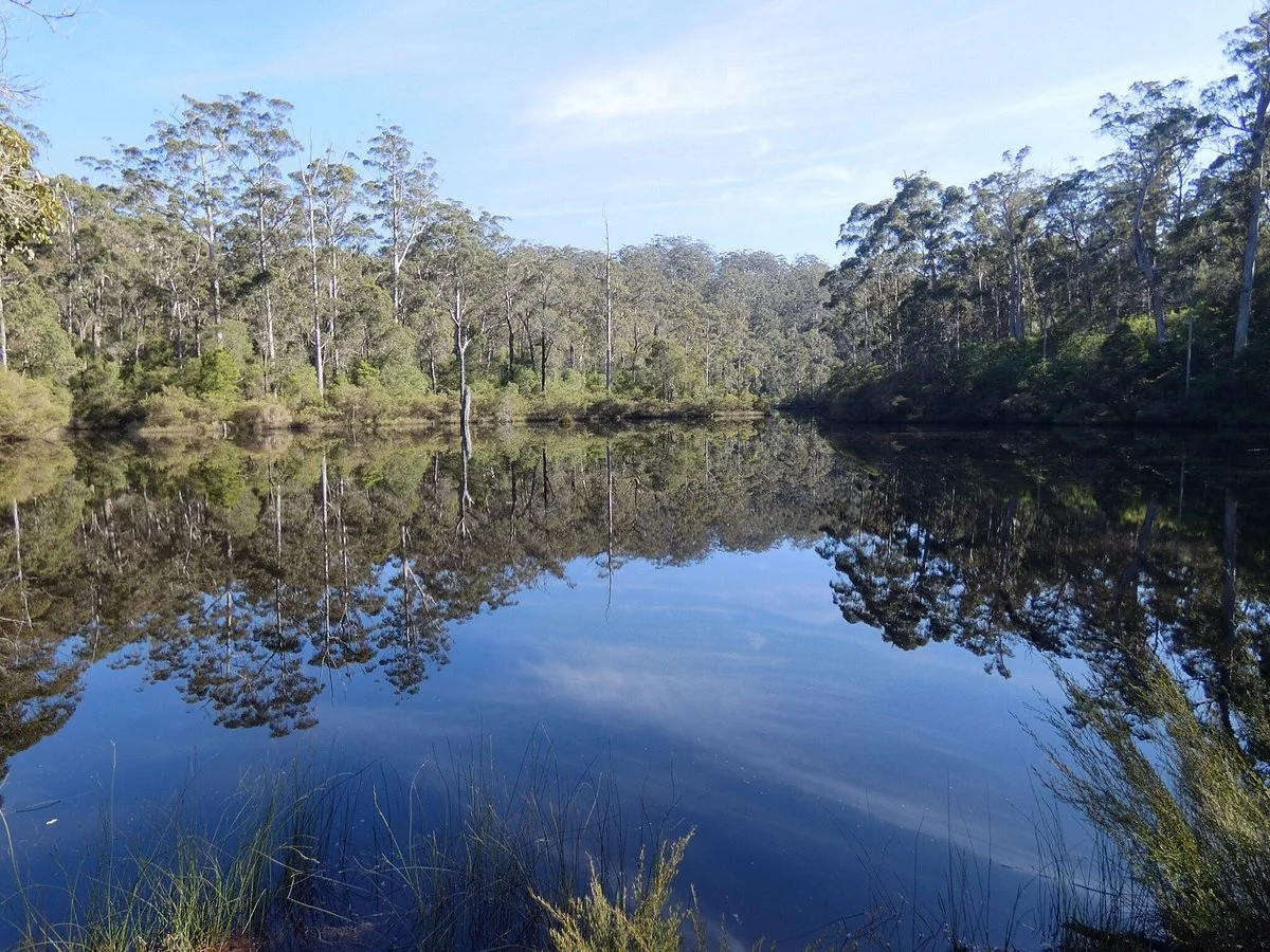 Shannon National Park
