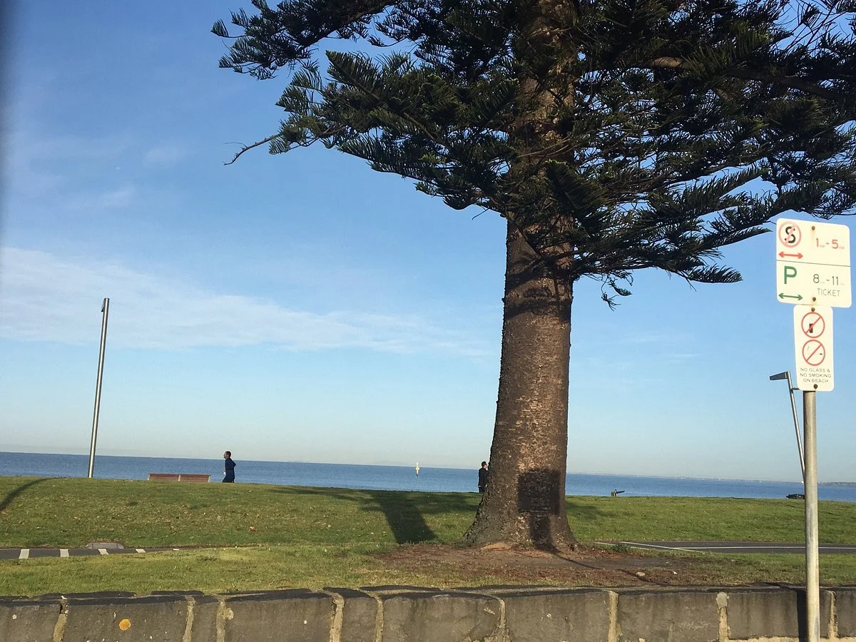 Elwood Park