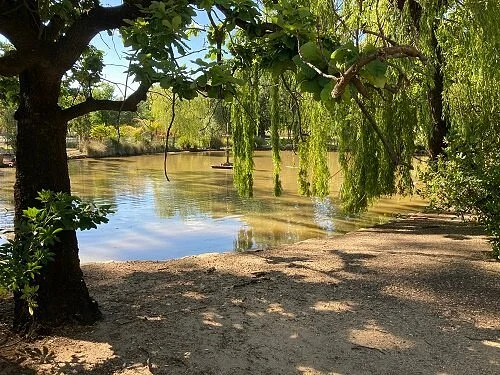Queen Mary botanic Gardens
