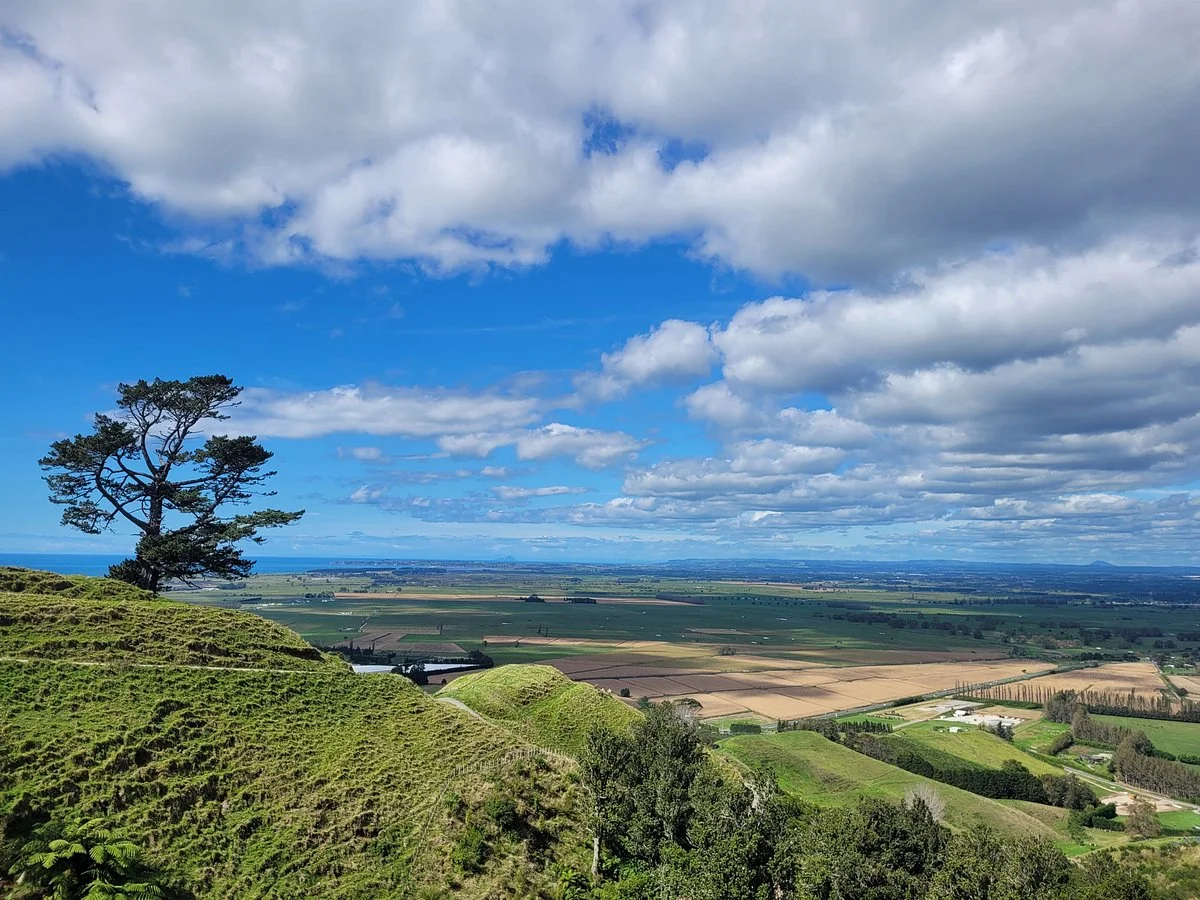 Papamoa Hills Cultural Heritage Regional Park