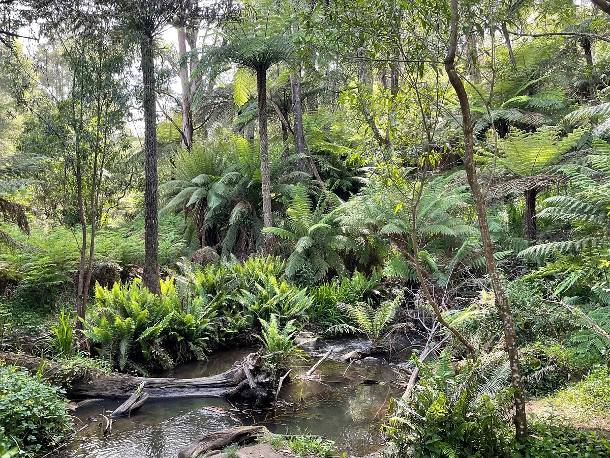 Baynes Park