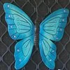 Pinjarra Park