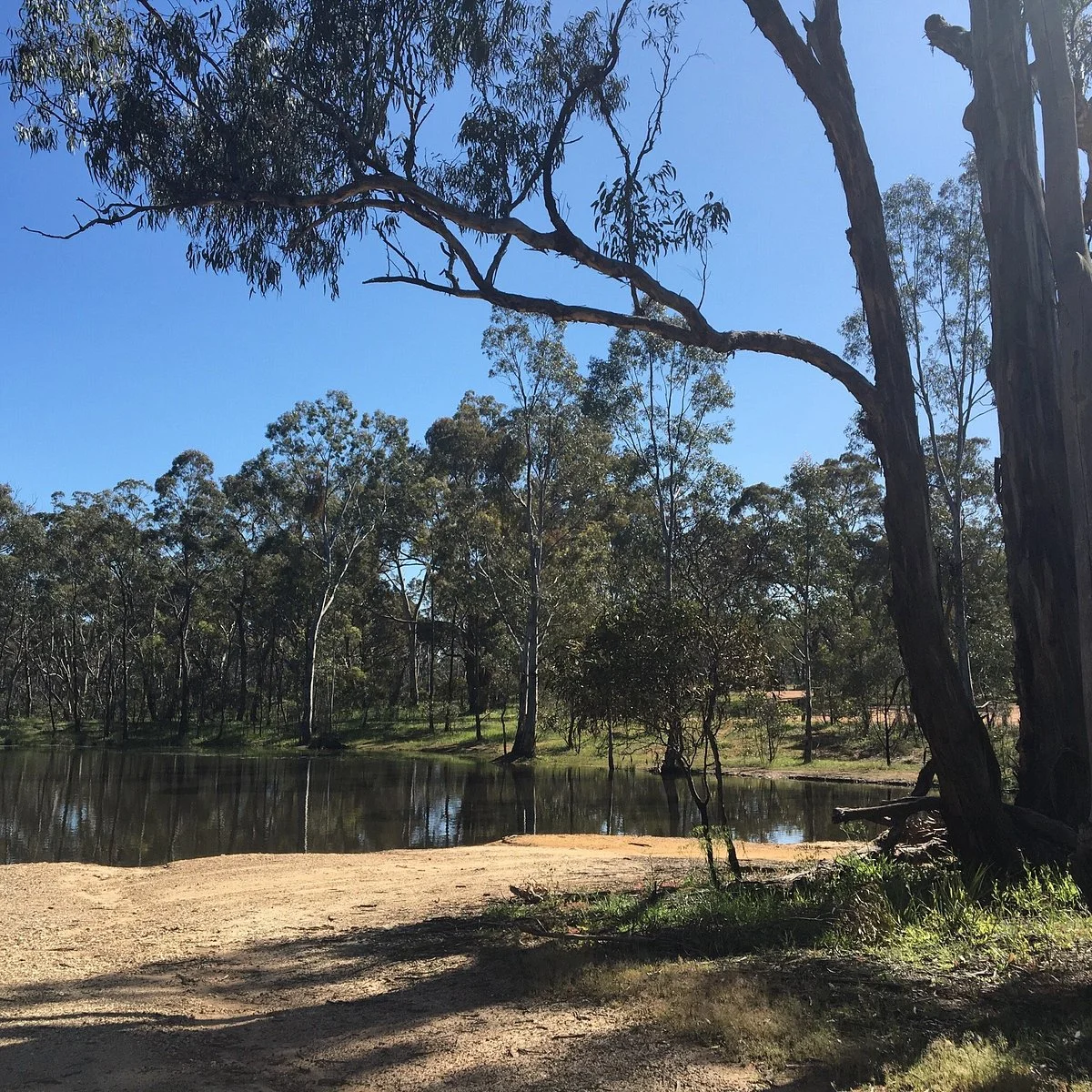 Deep Lead Flora & Fauna Reserve