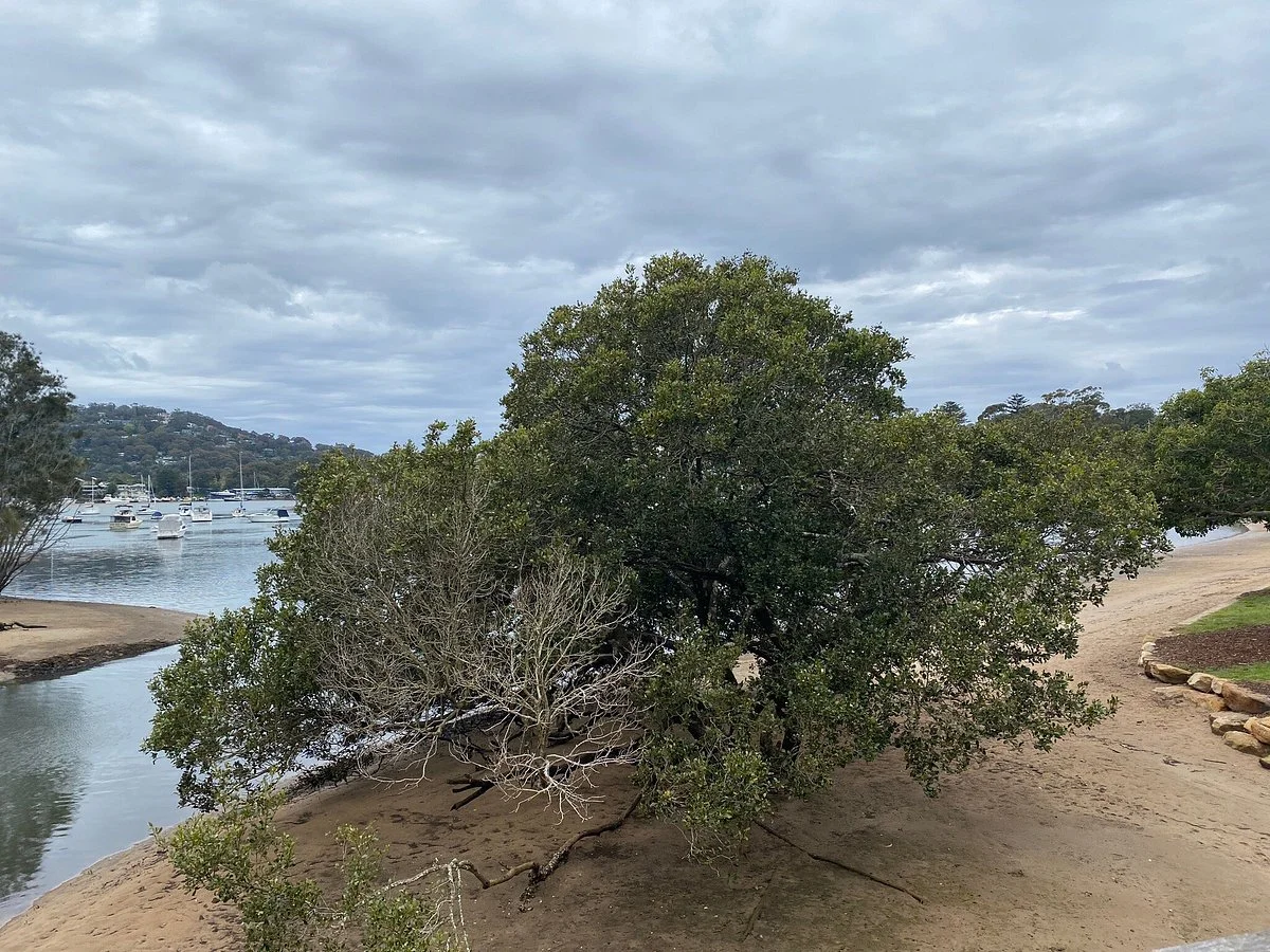 Rowland Reserve
