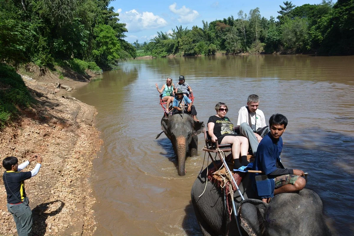 Saiyok Elephant Park