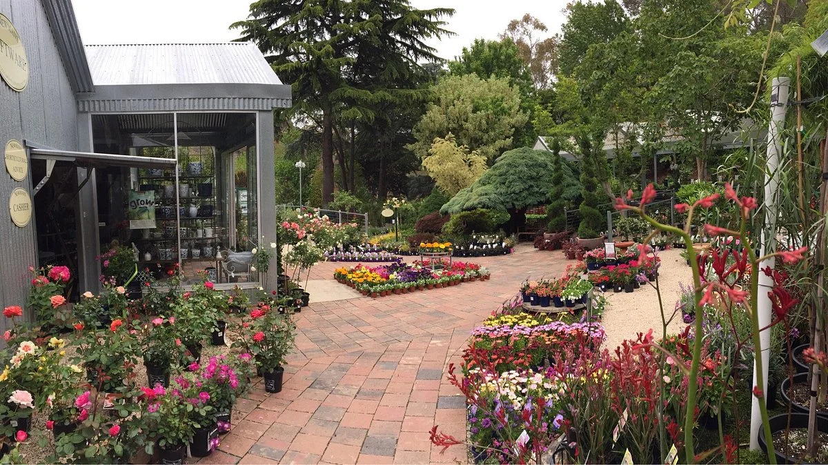 Newmans Nursery