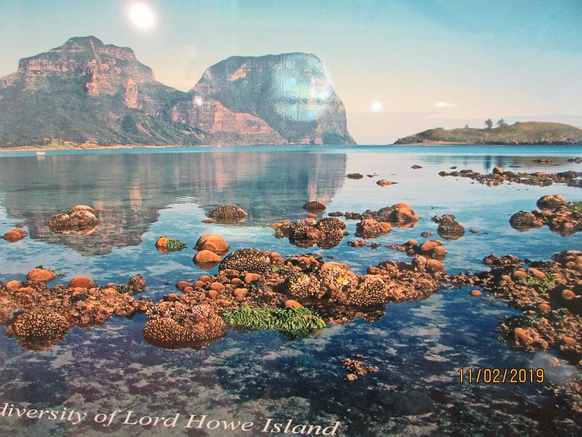 Lord Howe Island Museum