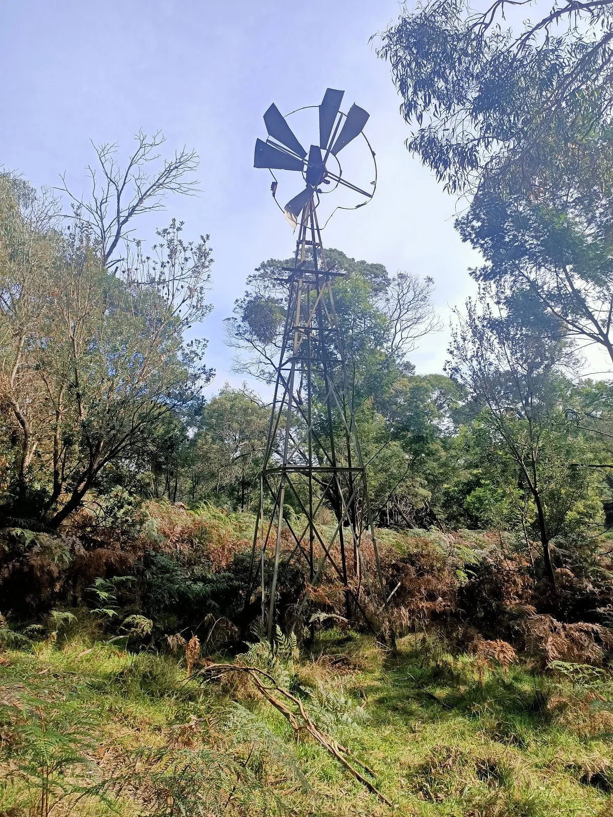 Peninsula Gardens Bushland Reserve