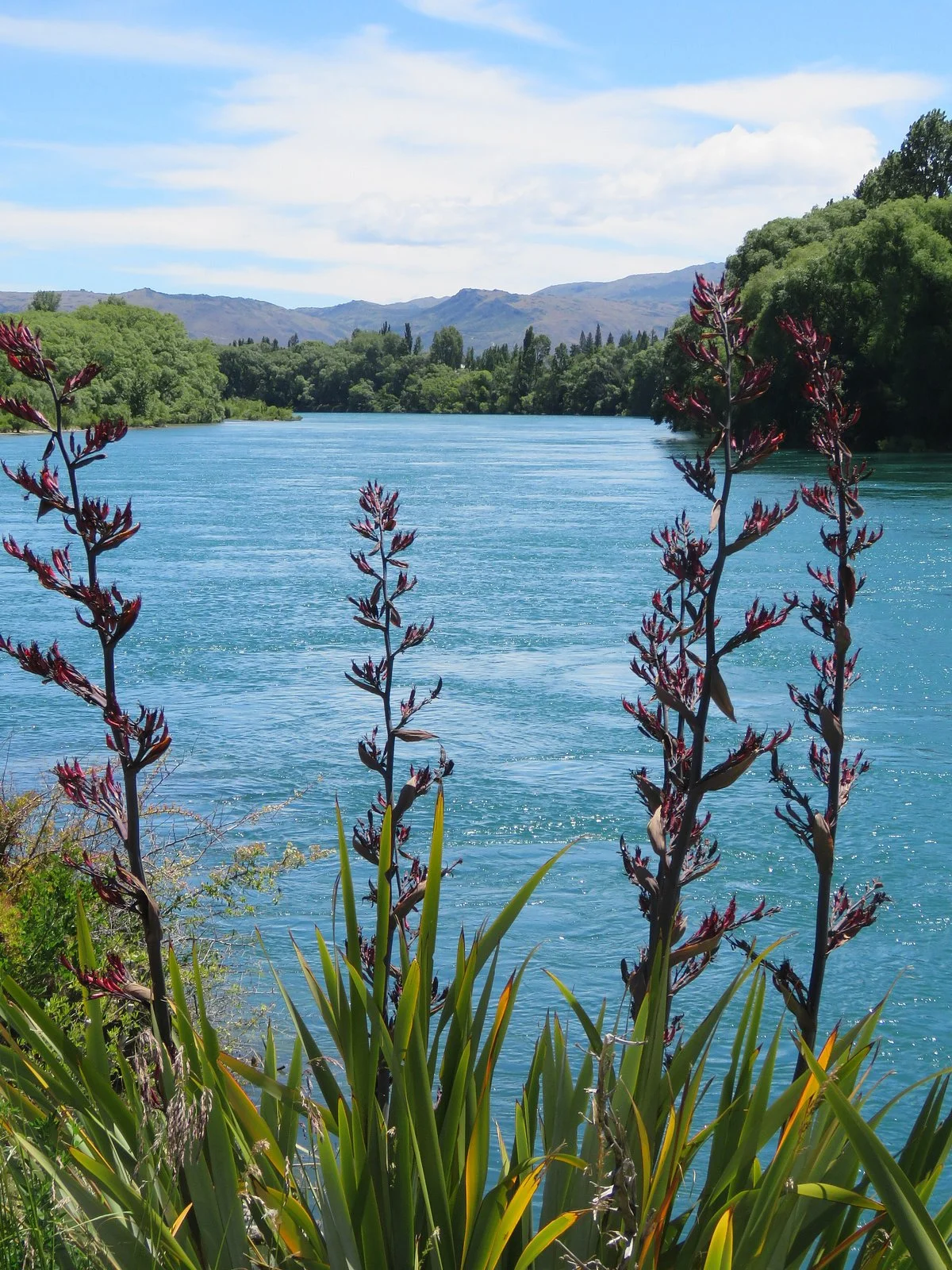 Alexandra to Clyde River Track