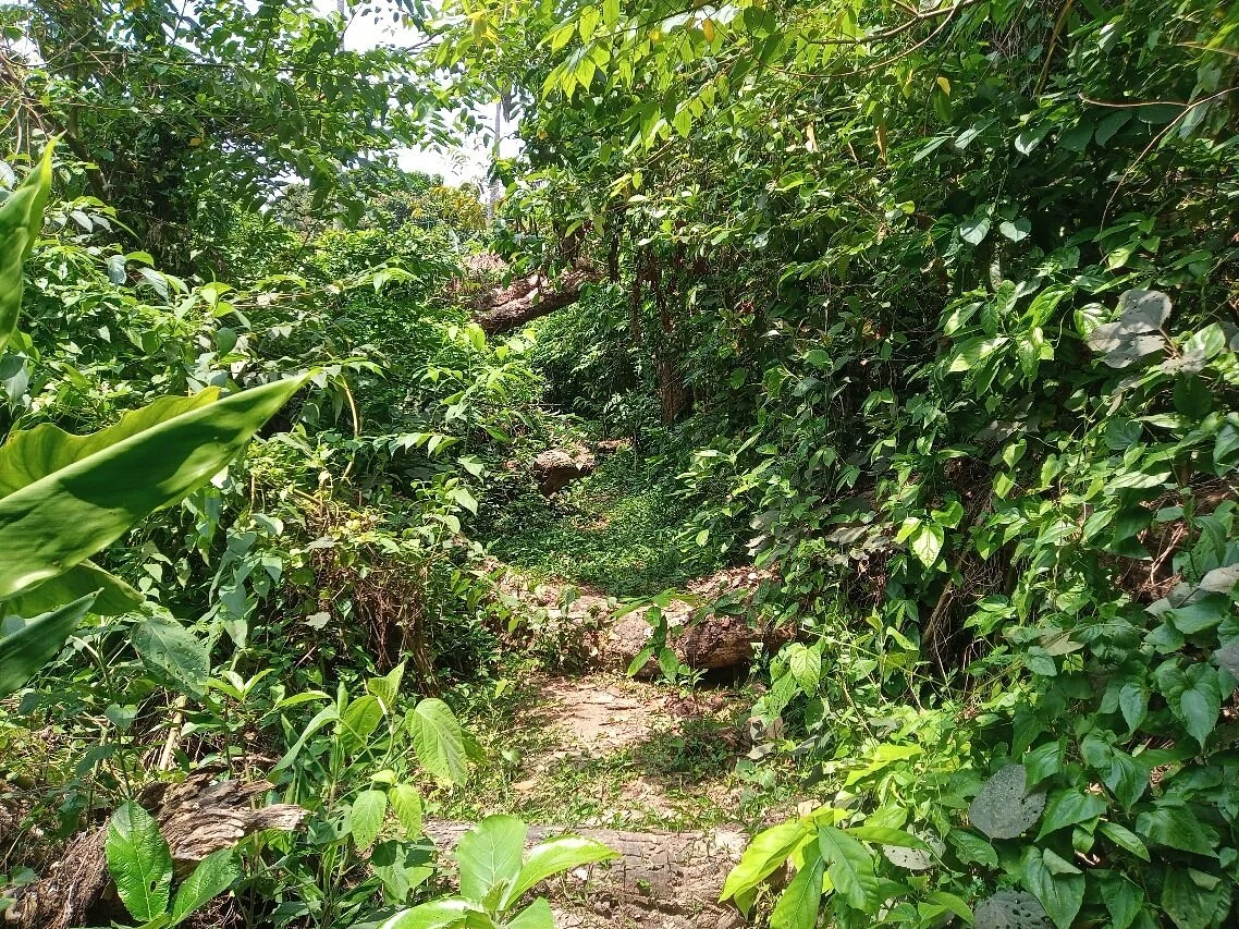 Chintamoni Kar Bird Sanctuary