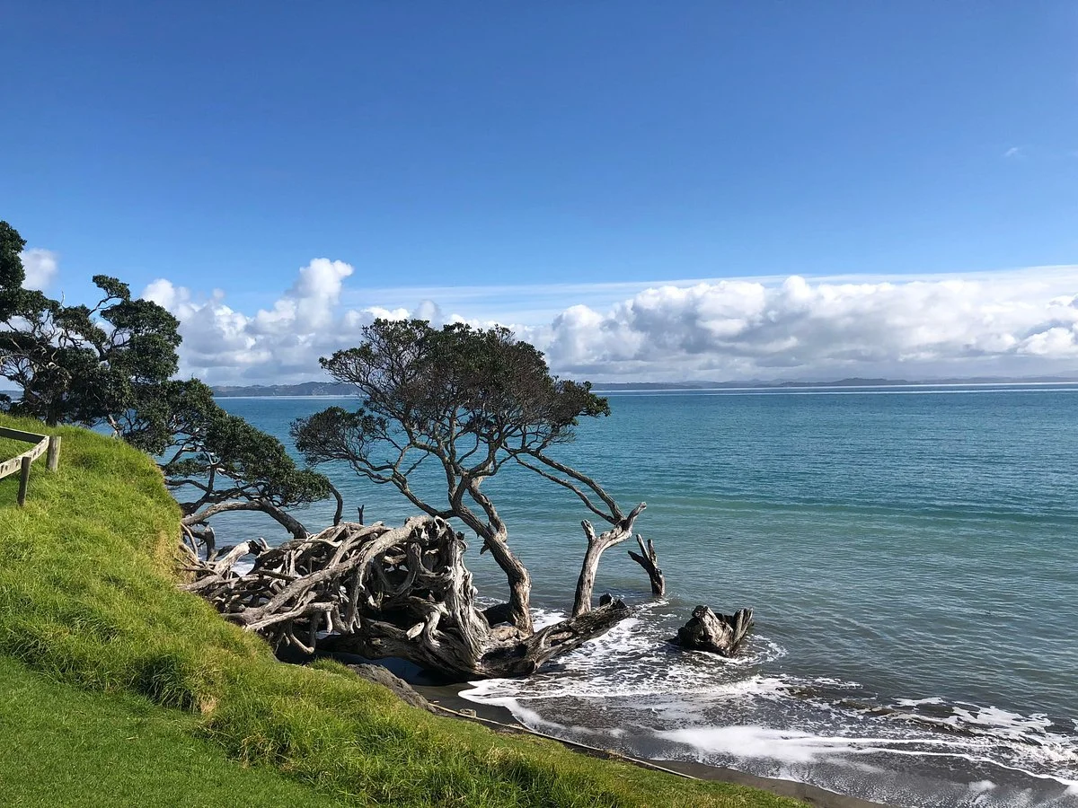 Army Bay Beach