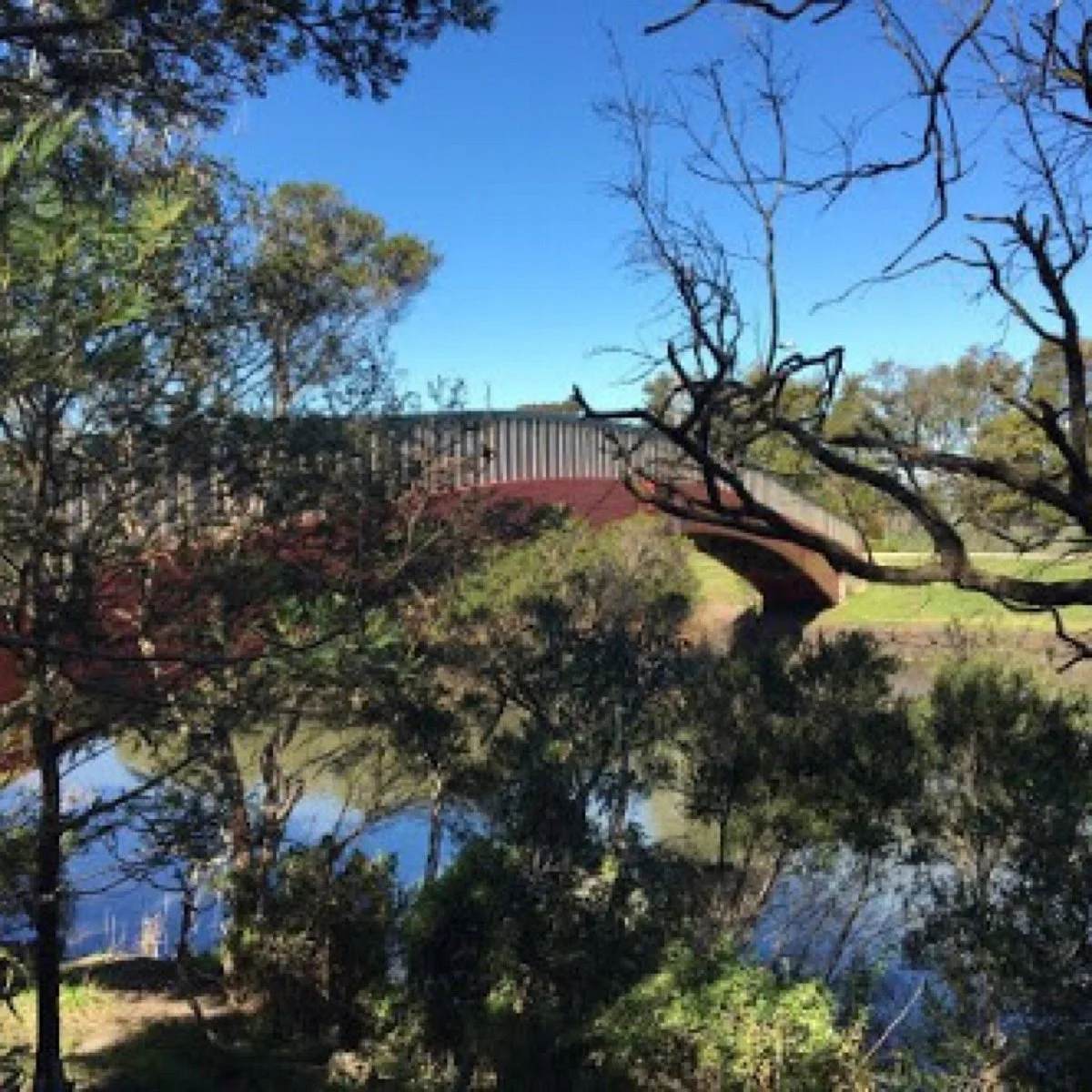 Mordialloc Creek Reserve