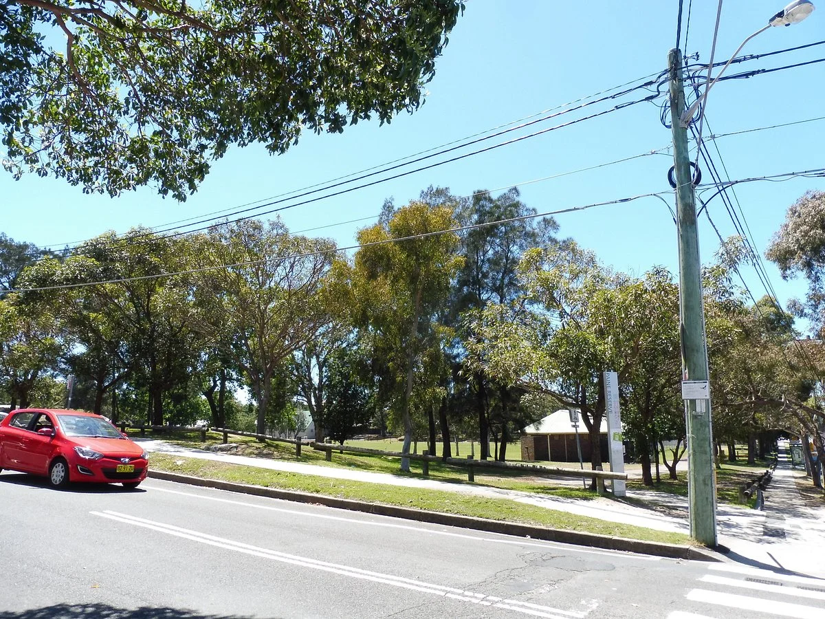 Paine Reserve