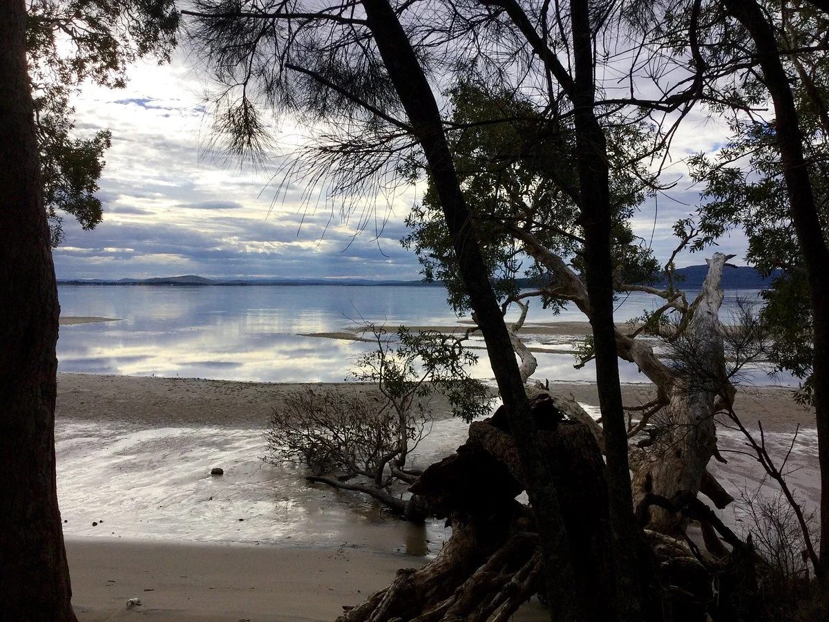 Tilligerry Habitat Tanilba Bay