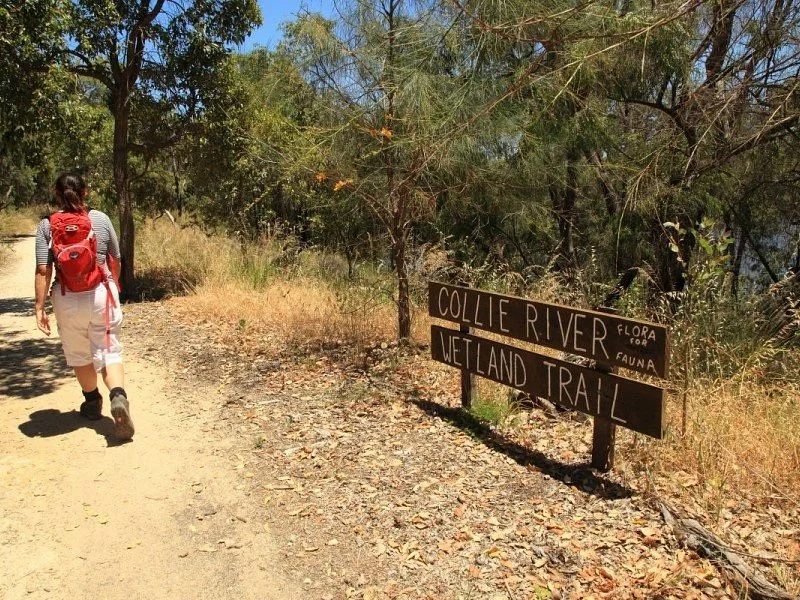 Collie River Wetland Trail