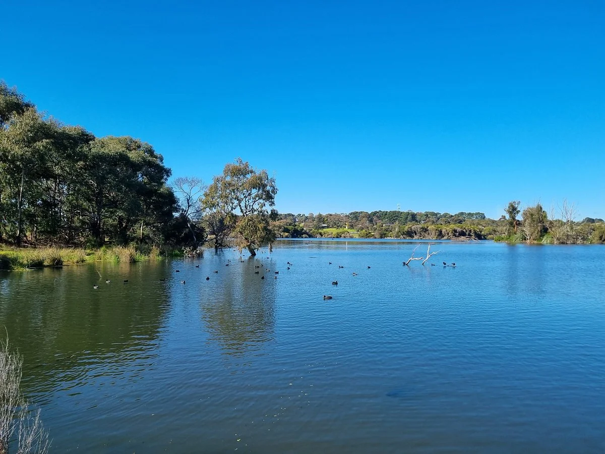 Lake Lorne Reserve