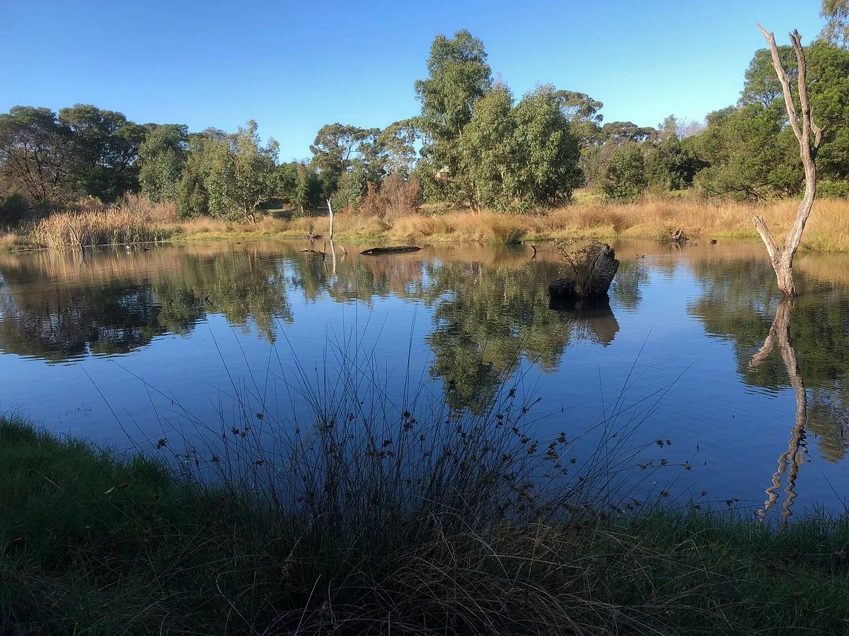 Yumarrala Wetlands