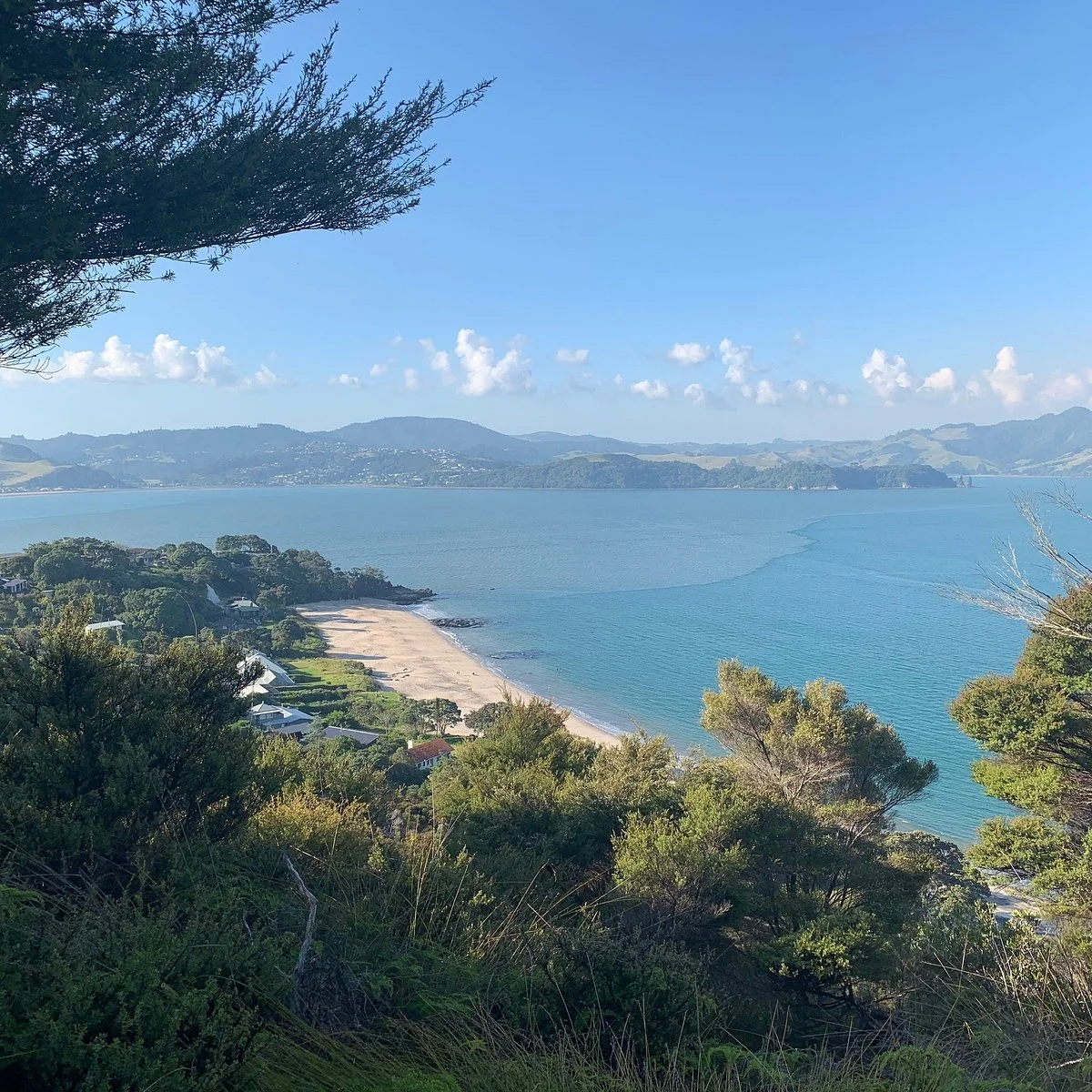 Whitianga Rock Walk