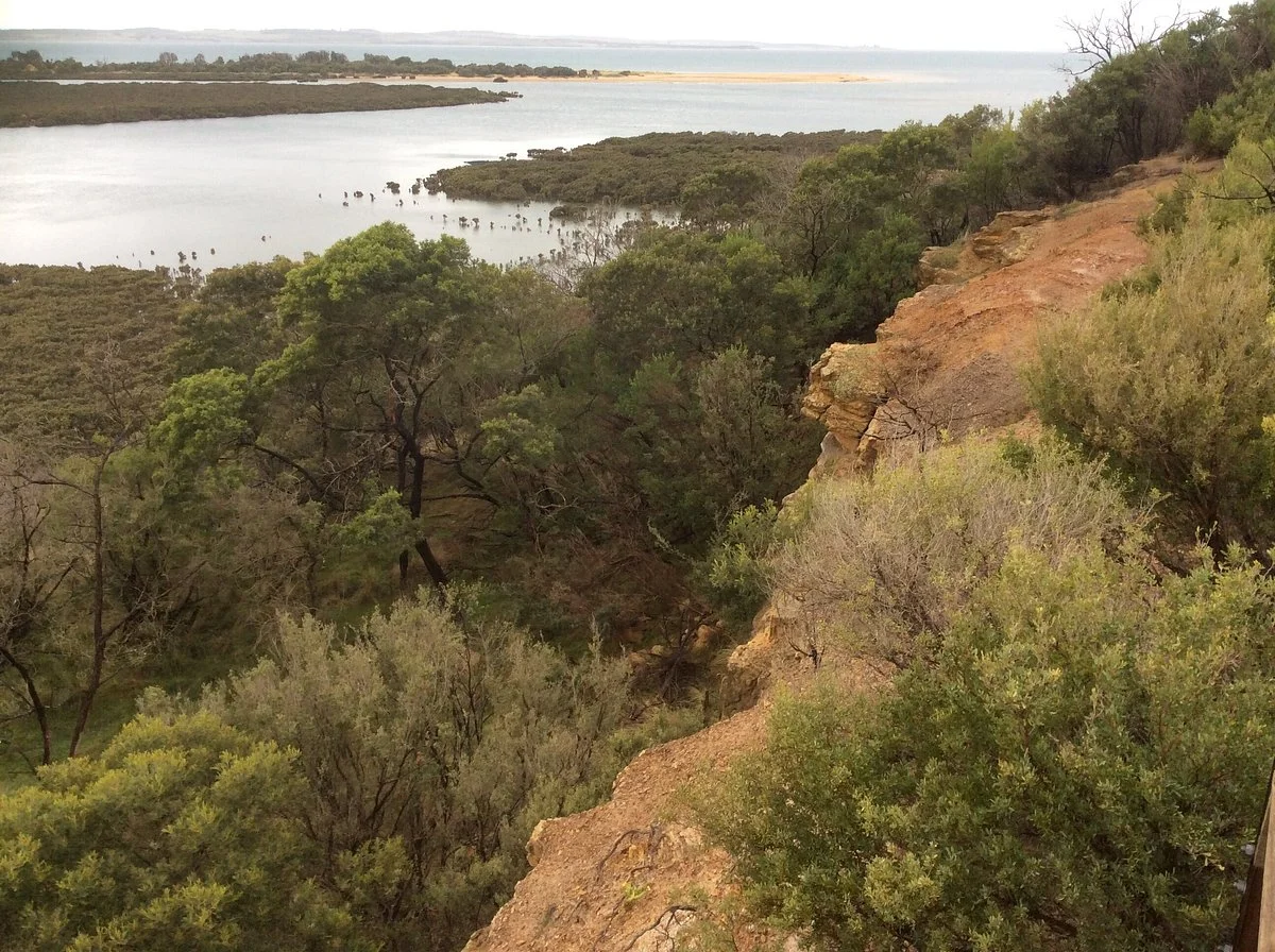Conservation Hill Reserve