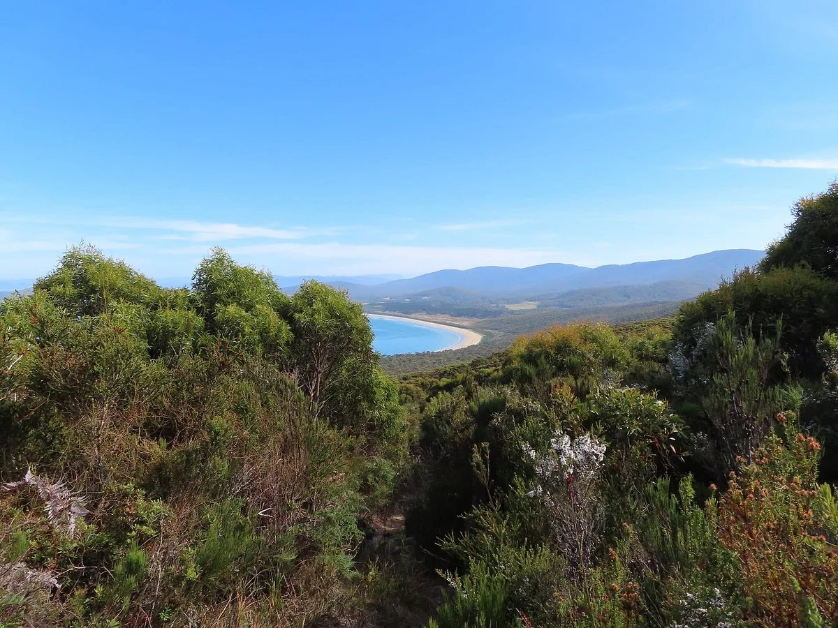East Cloudy Head Track