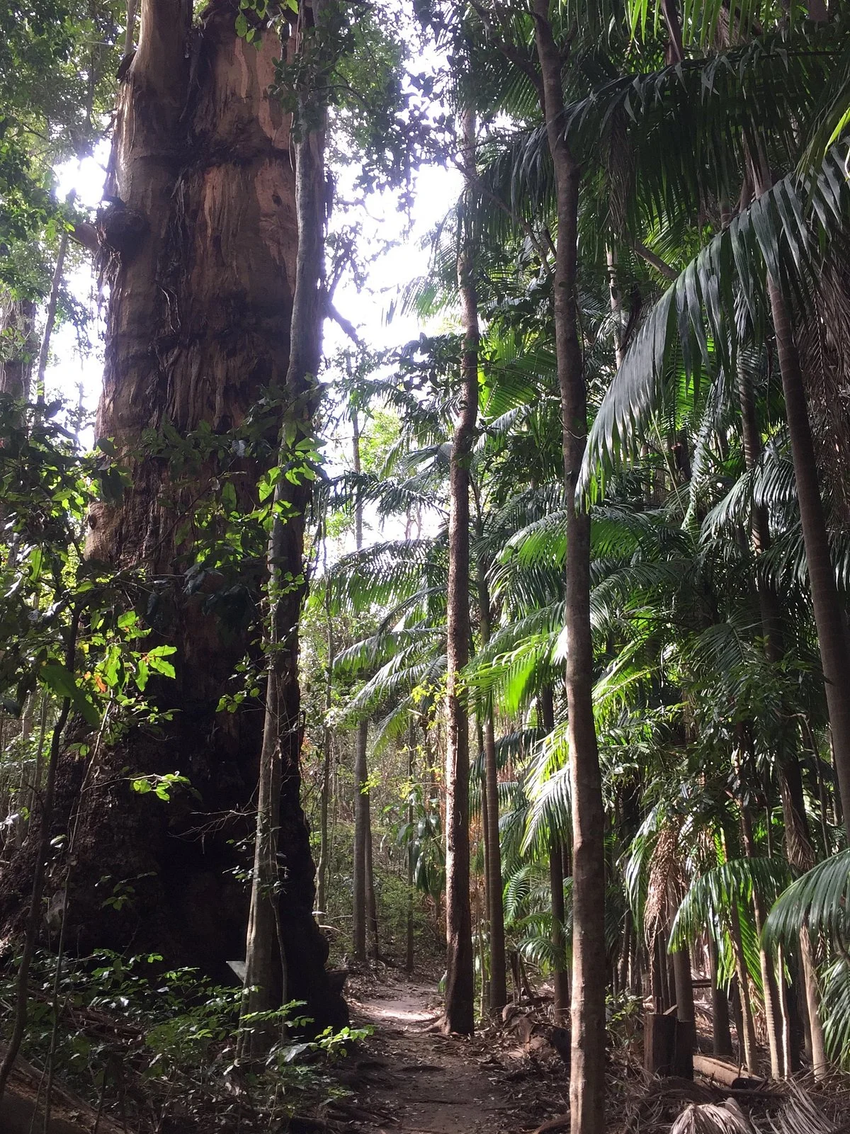 The Palms National Park