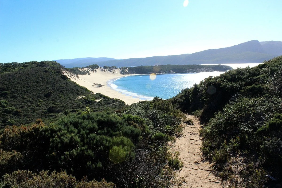 Mount Brown and Crescent Bay Walking Track