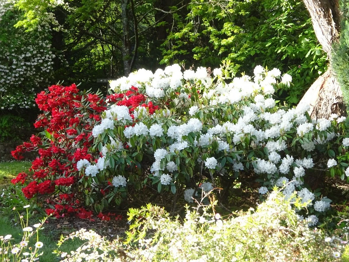 Pirianda Garden