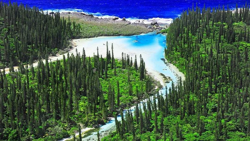 Oro Bay