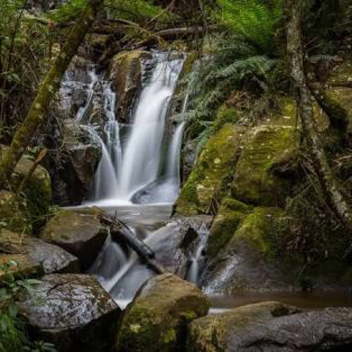 Olinda Falls