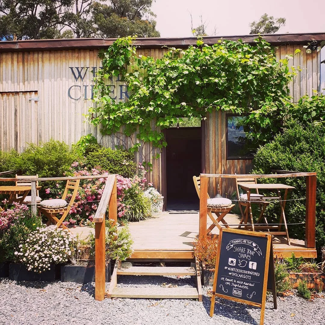 Winter Brook Vineyard
