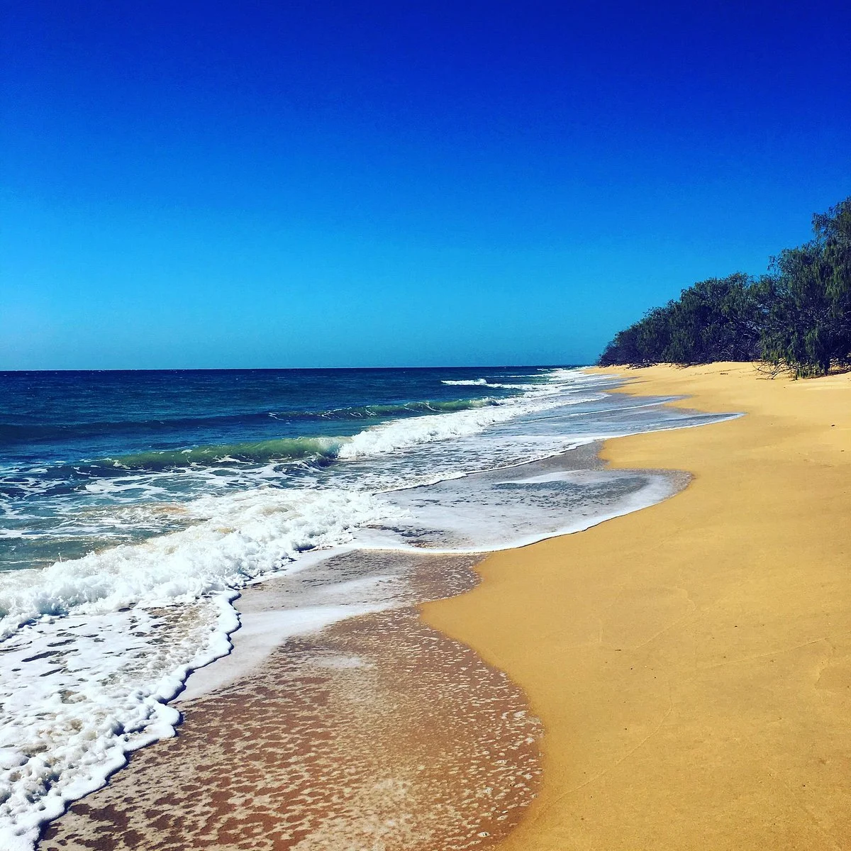 Burrum Coast National Park