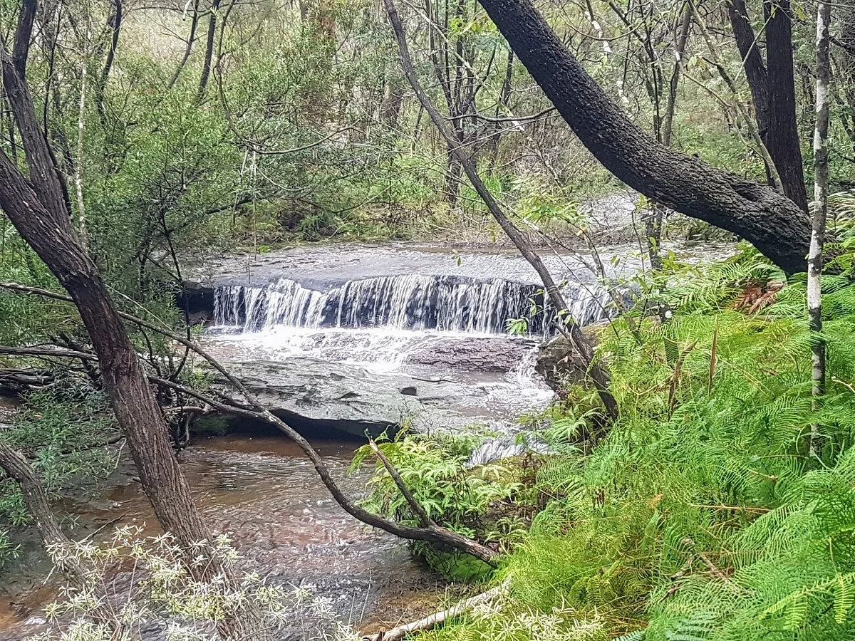 Brisbane Water National Park