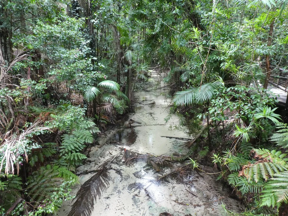 Wanggoolba Creek