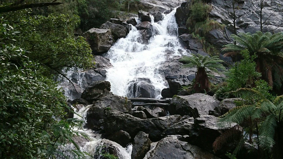 St Columba Falls Reserve