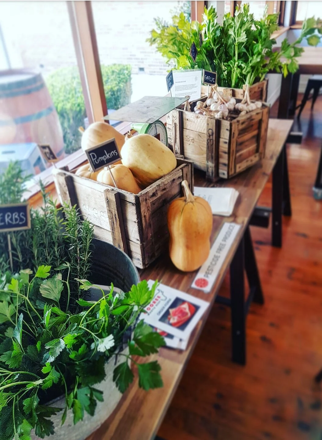 Gooree Cellar + Pantry