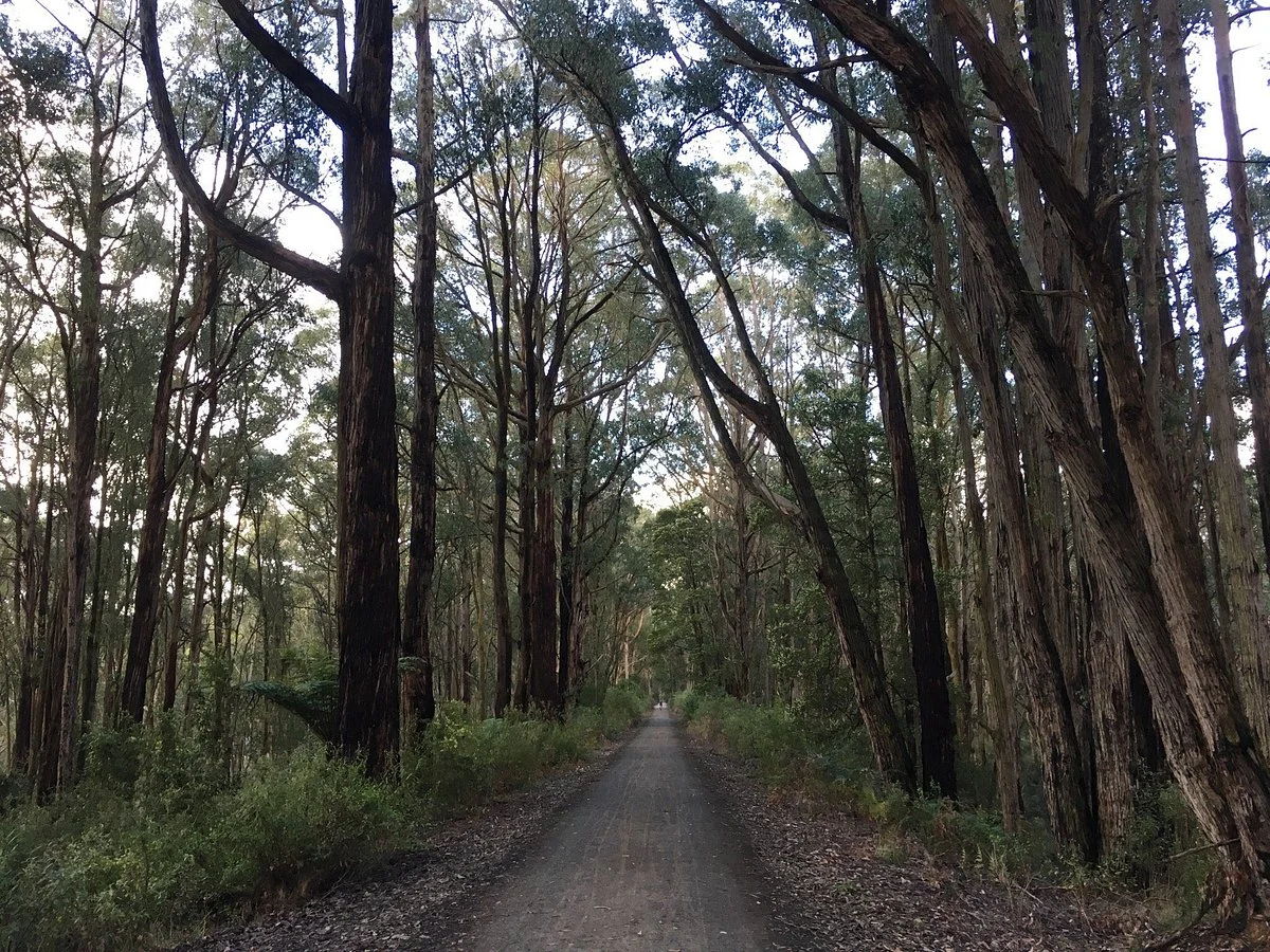 Grand Ridge Rail Trail