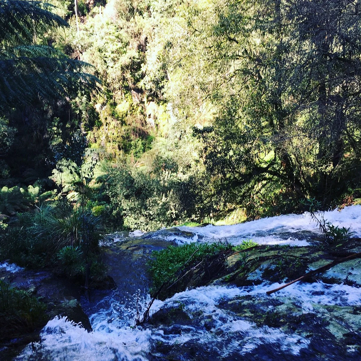 Tarra Falls