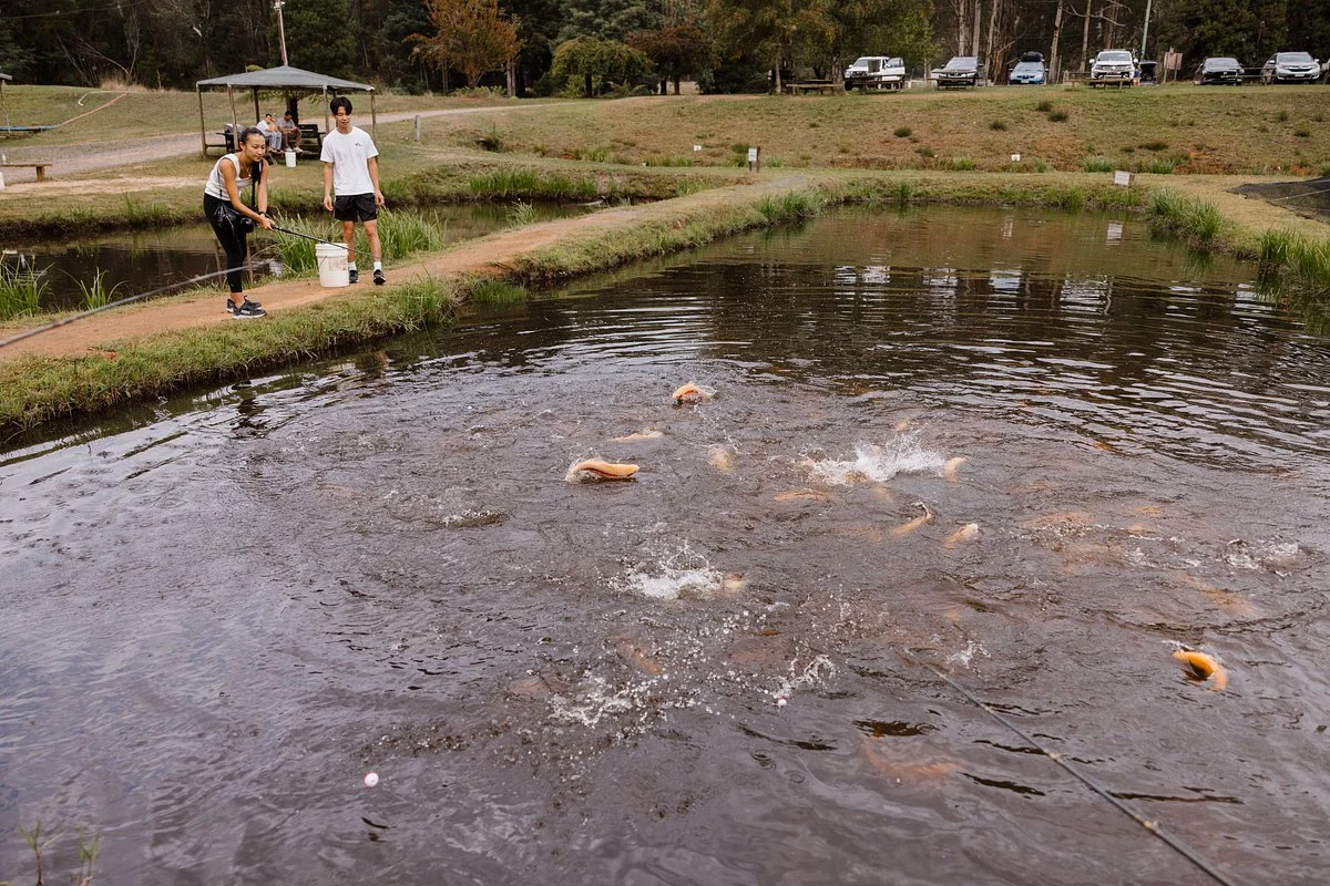 Alpine Trout Farm