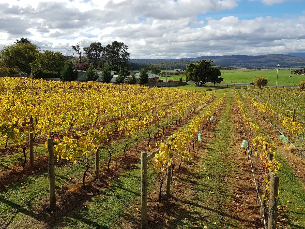 Velo Winery & Cellar Door