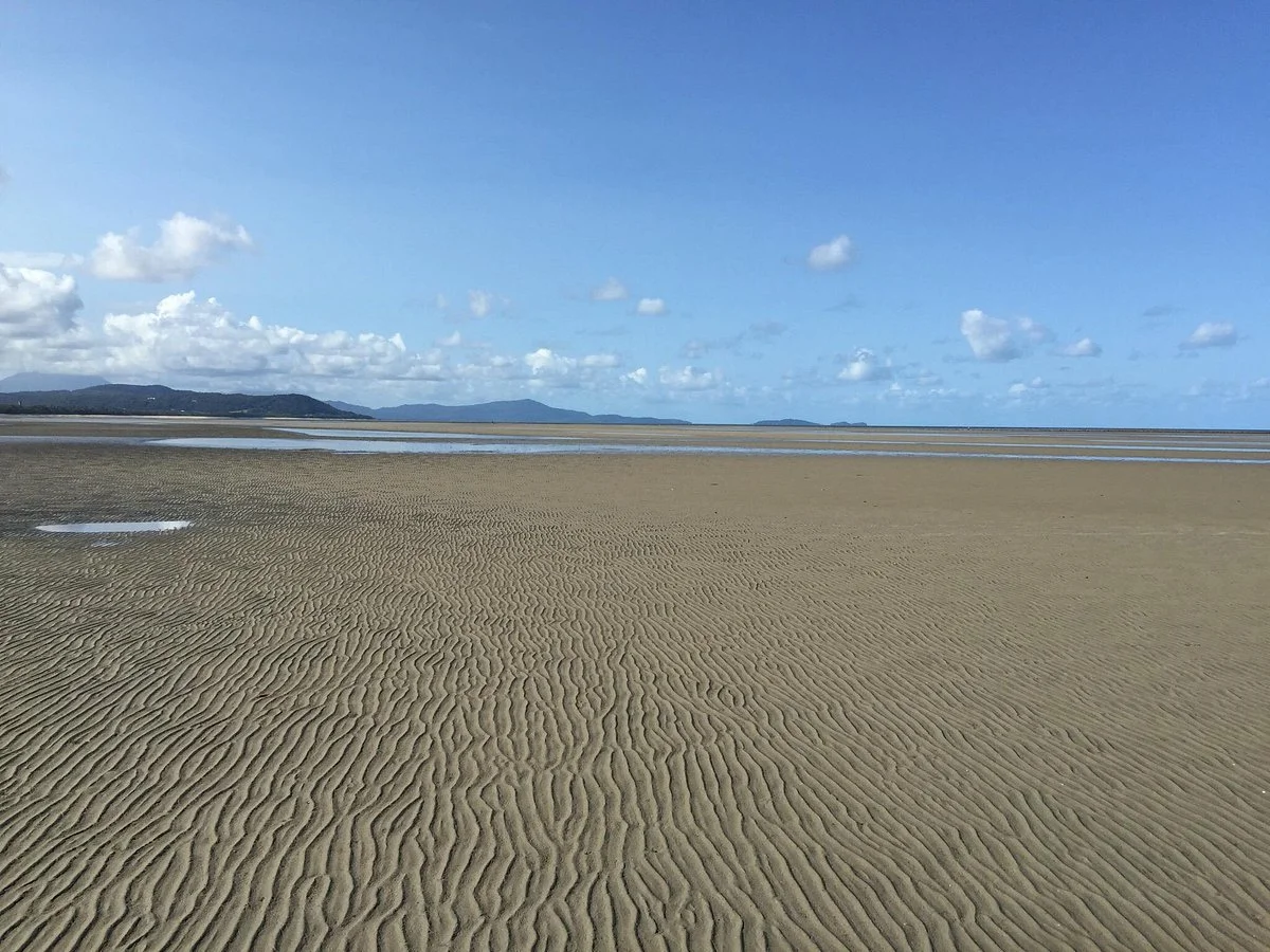 Kuku yalanji cultural heritage beach walk