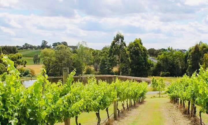 Badger's Brook Winery