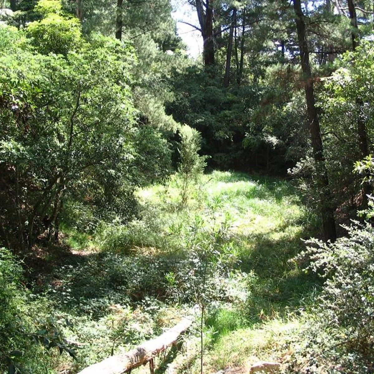 Quinn Reserve