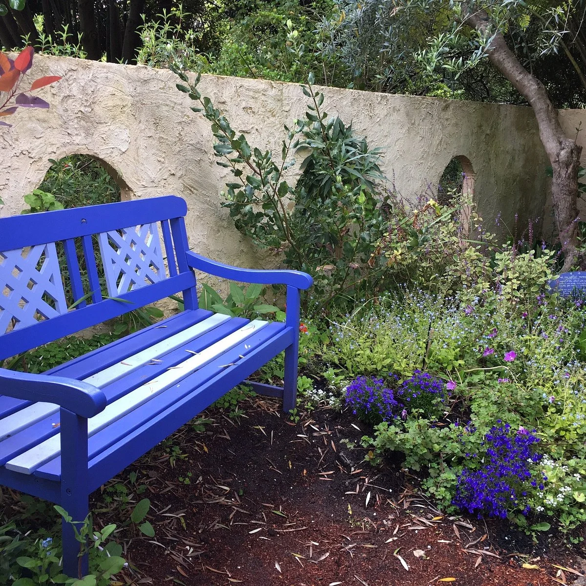 Margaret River Organic Garden
