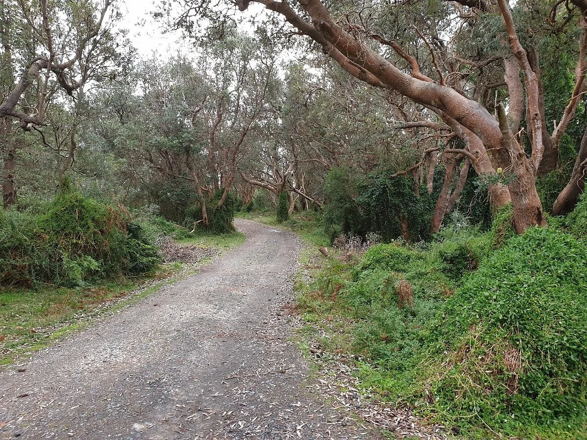 Point Smythe Nature Trail